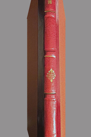 MAUROLYCUS 1876 - Image 4